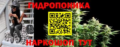 спиды Тверь