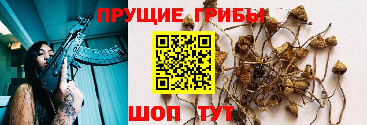 Галлюциногенные грибы мухоморы Ярцево