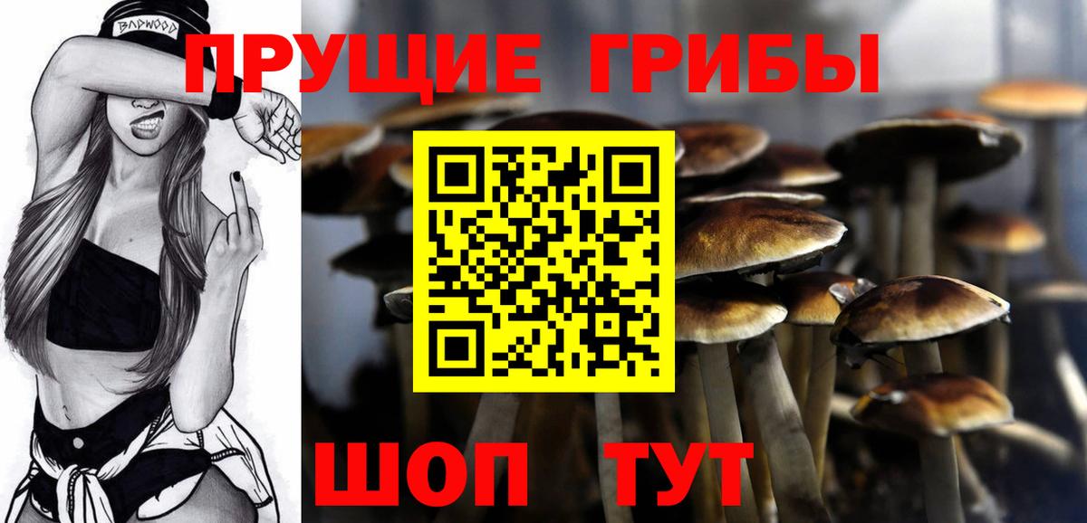 Ярцево  Галлюциногенные грибы Psilocybe  купить наркотик  Вход с VPN 